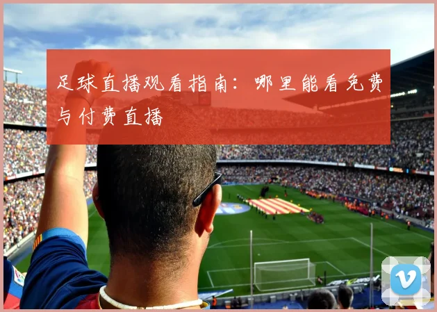 足球直播观看指南：哪里能看免费与付费直播
