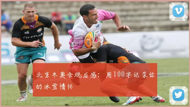 北京冬奥会观后感：用100字记录你的冰雪情怀