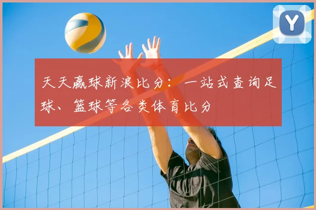 天天赢球新浪比分：一站式查询足球、篮球等各类体育比分