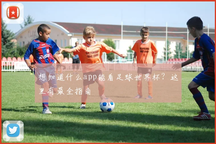 想知道什么app能看足球世界杯？这里有最全指南
