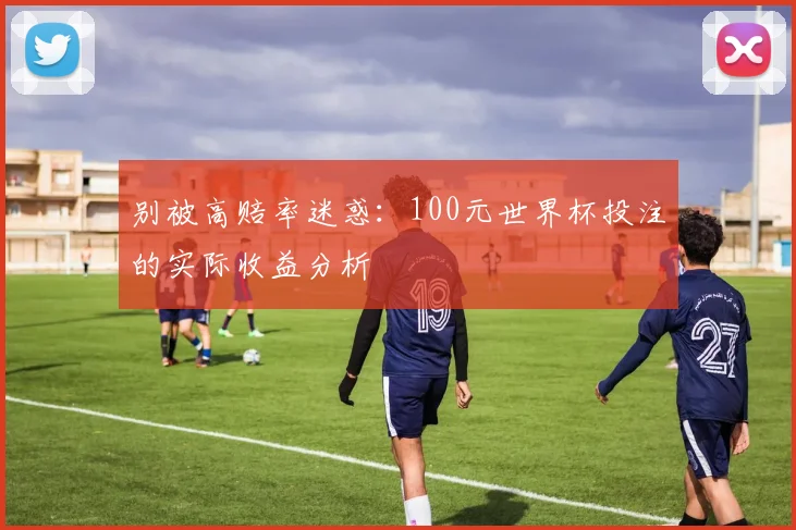 别被高赔率迷惑：100元世界杯投注的实际收益分析